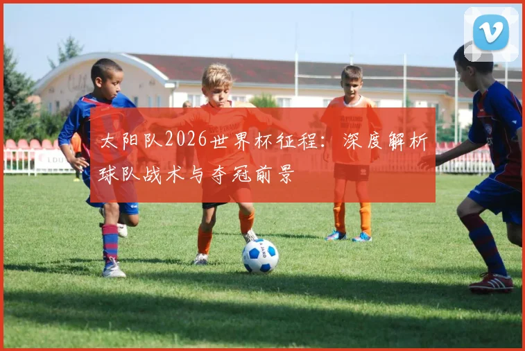太阳队2026世界杯征程：深度解析球队战术与夺冠前景